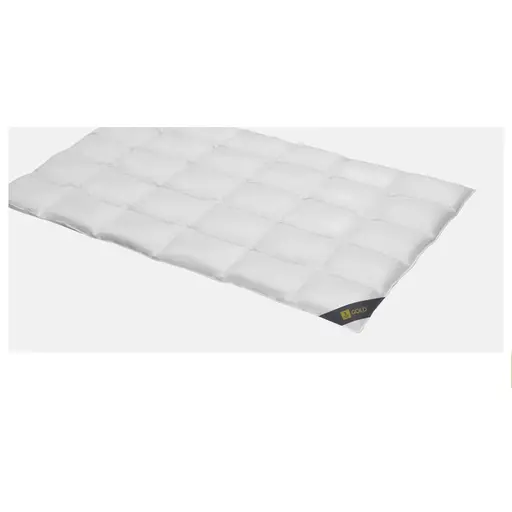 Cassettendecke - GOLD Normal